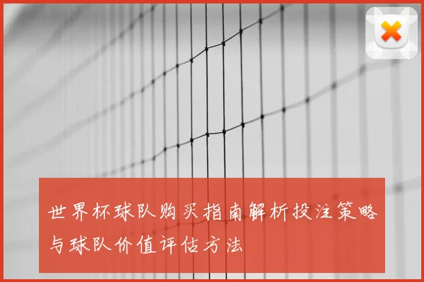 世界杯球队购买指南解析投注策略与球队价值评估方法