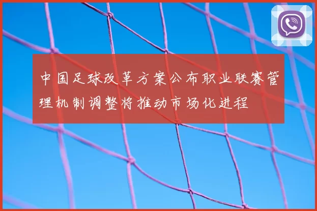 中国足球改革方案公布职业联赛管理机制调整将推动市场化进程