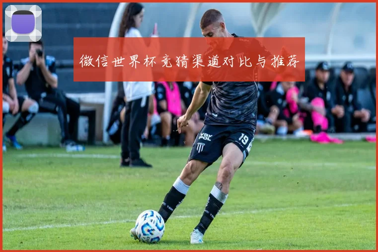 微信世界杯竞猜渠道对比与推荐